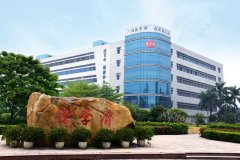 坚守与创新的力量——走进白云山陈李济